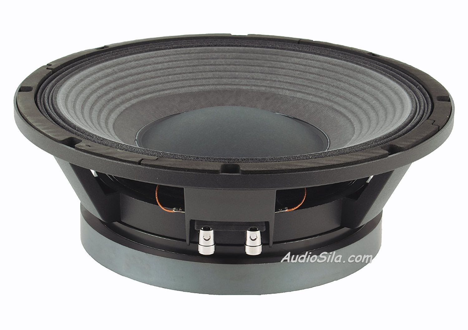 Beyma 12 inch speakers