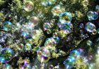 Жидкость мыльных пузырей SFI-BUBBLE STANDARD 5 литров