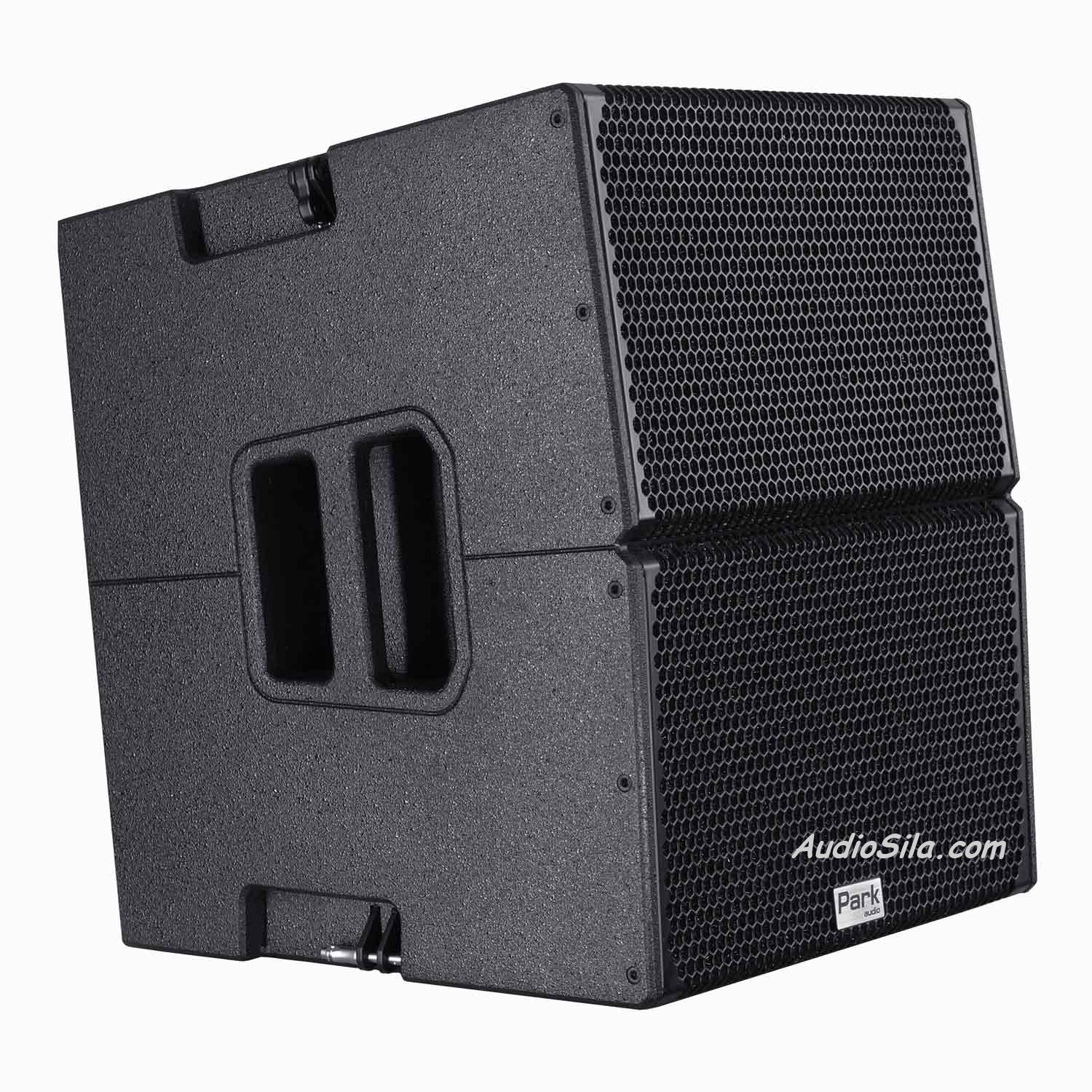 Park Audio D2-P активний компактний лінійний масив постійної